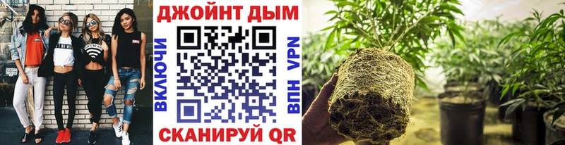 МАРИХУАНА White Widow  купить  сайты  Омск 